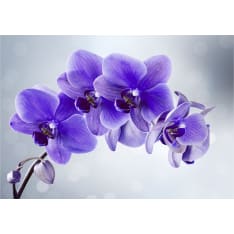 Artgeist Parting Hour itseliimautuva fototapetti