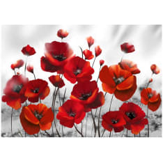 Artgeist Poppies in the Moonlight itseliimautuva fototapetti