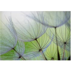 Artgeist Fleeting moments itseliimautuva fototapetti