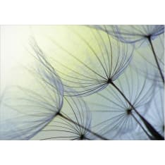 Artgeist Natural Lightness itseliimautuva fototapetti