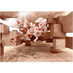 Artgeist Curiosities Of Nature itseliimautuva fototapetti