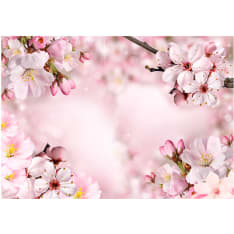 Artgeist Spring Cherry Blossom itseliimautuva fototapetti