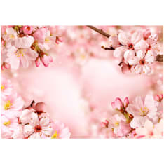 Artgeist Magical Cherry Blossom itseliimautuva fototapetti