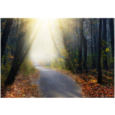 Artgeist Road through the Forest itseliimautuva fototapetti