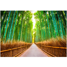 Artgeist Bamboo Forest itseliimautuva fototapetti