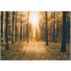 Artgeist Magical Light itseliimautuva fototapetti