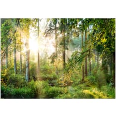 Artgeist Untamed Nature itseliimautuva fototapetti