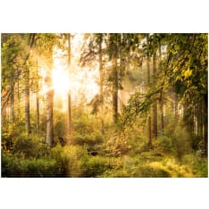 Artgeist Mystic of the Morning itseliimautuva fototapetti