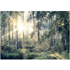 Artgeist Tales of a Forest itseliimautuva fototapetti