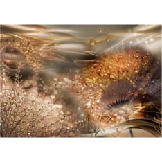 Artgeist Dandelions' World (Gold) itseliimautuva fototapetti
