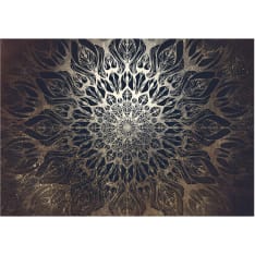 Artgeist Spider Web (Brown) itseliimautuva fototapetti