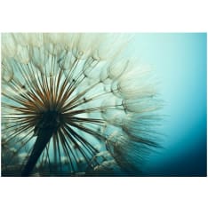 Artgeist Blue Fascination itseliimautuva fototapetti