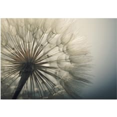 Artgeist Ephemerality itseliimautuva fototapetti