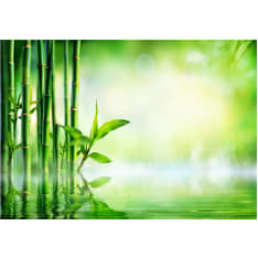 Artgeist Bamboo Grove itseliimautuva fototapetti