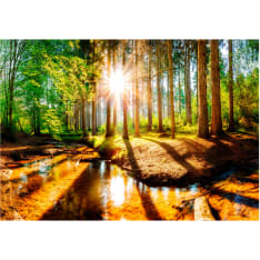 Artgeist Marvelous Forest itseliimautuva fototapetti