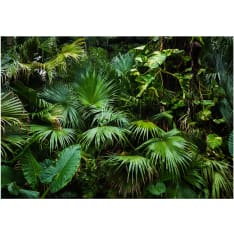 Artgeist Sunny Jungle itseliimautuva fototapetti