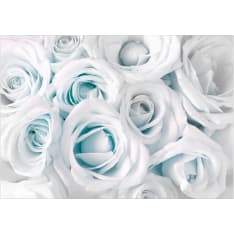 Artgeist Satin Rose (Turquoise) itseliimautuva fototapetti
