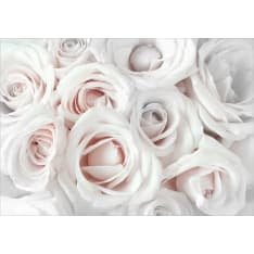 Artgeist Satin Rose (Pink) itseliimautuva fototapetti