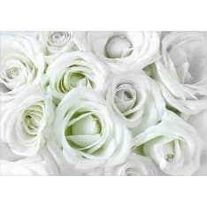 Artgeist Satin Rose (Green) itseliimautuva fototapetti