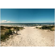 Artgeist Whisper of the Sea itseliimautuva fototapetti