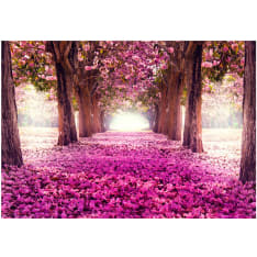 Artgeist Pink Path itseliimautuva fototapetti