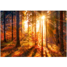 Artgeist Autumnal Time itseliimautuva fototapetti