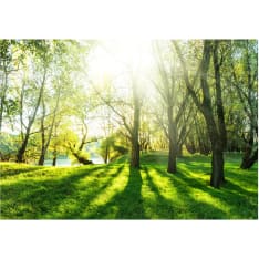 Artgeist Sunny May Day itseliimautuva fototapetti