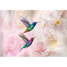 Artgeist Colourful Hummingbirds (Pink) itseliimautuva fototapetti