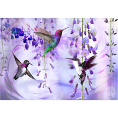 Artgeist Flying Hummingbirds (Violet) itseliimautuva fototapetti