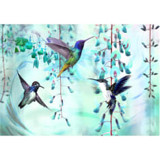 Artgeist Flying Hummingbirds (Green) itseliimautuva fototapetti