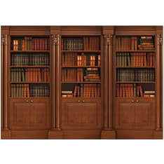 Artgeist Elegant Library itseliimautuva fototapetti