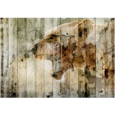 Artgeist Unbridled Beauty itseliimautuva fototapetti