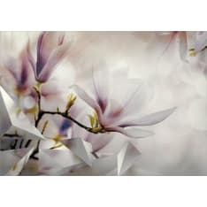 Artgeist Subtle Magnolias - First Variant itseliimautuva fototapetti