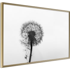 Poster - Waiting for the Wind
