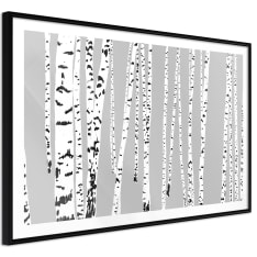 Poster - Birch Wood