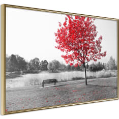 Poster - Autumn Colours I