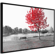 Poster - Autumn Colours I