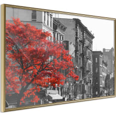 Artgeist Autumn Colours Ii juliste