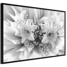 Artgeist Crystal Lillies juliste