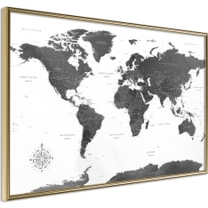 Artgeist The World In Black and White juliste