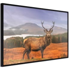 Artgeist Majestic Deer juliste