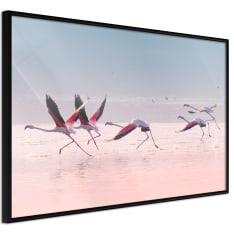 Poster - Flamingos Breaking into a Flight