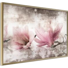 Artgeist Picked Magnolias juliste