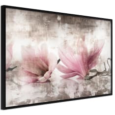 Artgeist Picked Magnolias juliste
