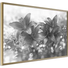 Artgeist Dark Lillies juliste
