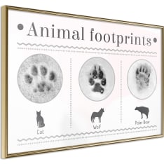 Artgeist How To Recognize an Animal juliste