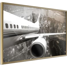 Poster - Plane Wing