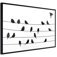 Artgeist Birds Council Meeting juliste