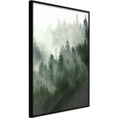 Artgeist Steaming Forest juliste