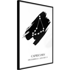 Artgeist Zodiac: Capricorn I juliste